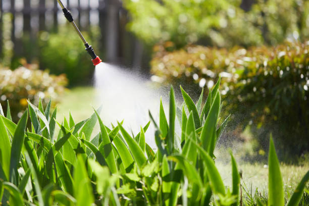 24/7 Emergency Fumigation Services experts in Lesslie, SC