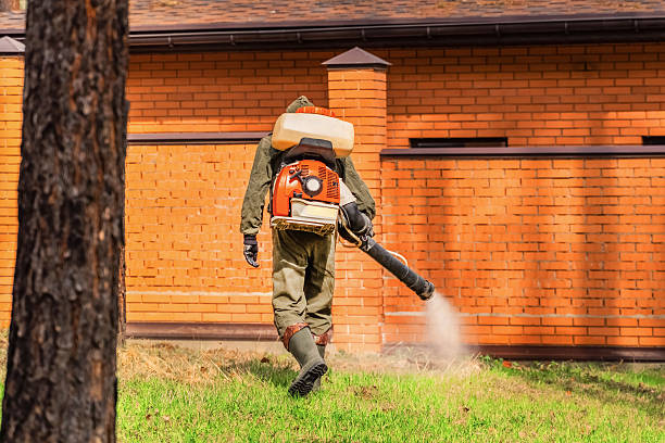 Top rated local Fumigation Services specialists in Lesslie, SC